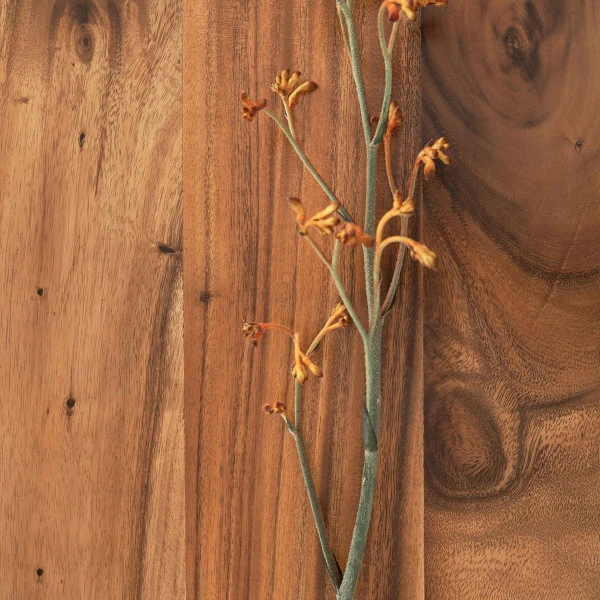 Tv-meubel Suar Hout 7 Tv-meubel Suar Hout - Afbeelding 5