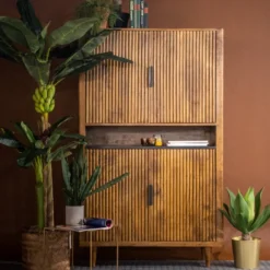 Retro Wandkast Van Mangohout