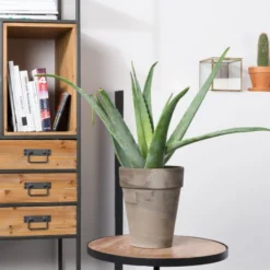 Open Wandkast -BEPUREHOME Winkel open wandkast samuel lumz home 09